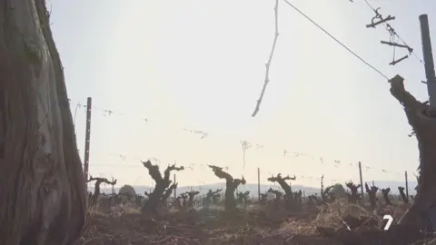 vid