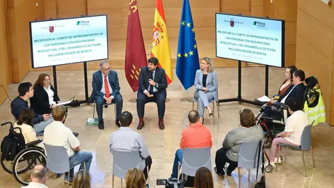 L&oacute;pez Miras se re&uacute;ne con el comit&eacute; de representantes de Plena Inclusi&oacute;n, la federaci&oacute;n de asociaciones de discapacidad intelectual