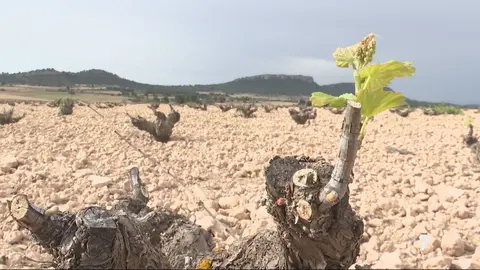 La falta de agua y el calor extremo preocupan provocan ecoansiedad en la poblaci&oacute;n (foto: La 7)