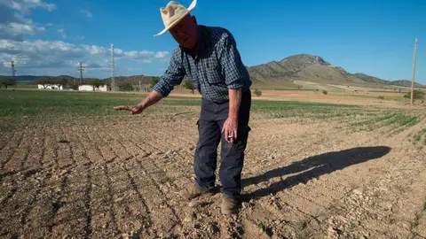 Un agricultor muestra su tierra (Foto: Javier Carri&oacute;n - Europa Press)