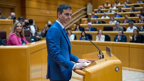 Pedro S&aacute;nchez