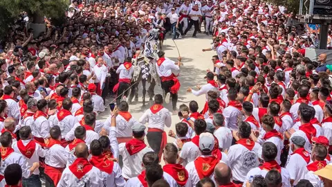 J&oacute;venes observando los caballos del VIno