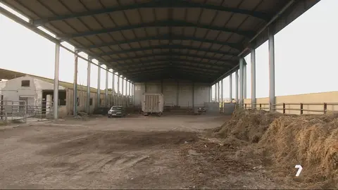Aparecen m&aacute;s cad&aacute;veres en la 'finca de los horrores' de Zarandona