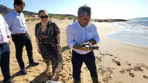 El consejero de Medio Ambiente, Mar Menor, Universidades e Investigaci&oacute;n, Juan Mar&iacute;a V&aacute;zquez, durante la liberaci&oacute;n de una tortuga boba tratada en el Centro de Recuperaci&oacute;n de Fauna Silvestre El Valle (foto: CARM)