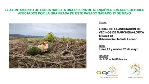 La oficina de atenci&oacute;n a agricultores afectados por la granizada del pasado s&aacute;bado en Lorca abrir&aacute; este lunes y martes