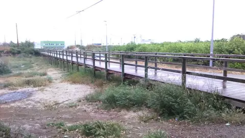 Vereda de Rinc&oacute;n del Gallego, en una imagen de archivo