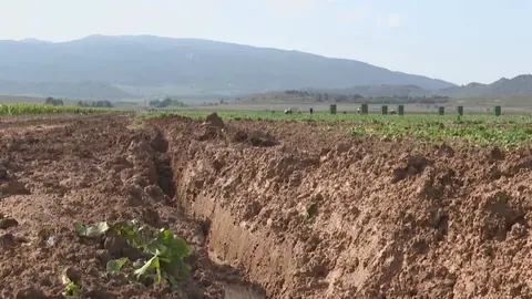 Los cultivos de Yecla totalmente destrozados por el temporal (foto: La 7)