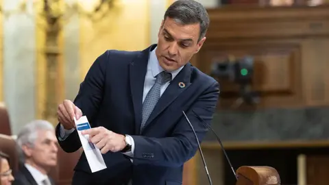 Pedro S&aacute;nchez, en el congreso