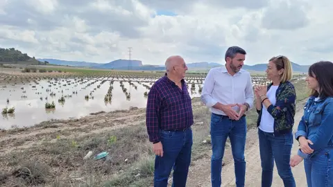 El consejero en funciones, Antonio Luengo, durante su visita a los campos de Jumilla afectados por la tormenta de ayer. | Foto: Comunidad
