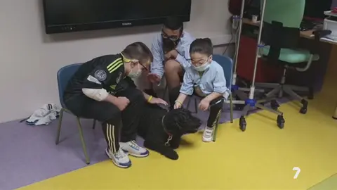 'Doctor Guau': Perros que 'curan' en La Arrixaca