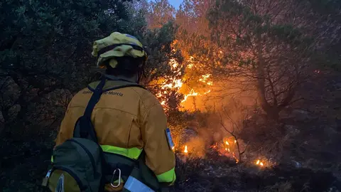 Un bombero trata de apagar las llamas en la Sierra de la Pila (foto: 112 Regi&oacute;n de Murcia)