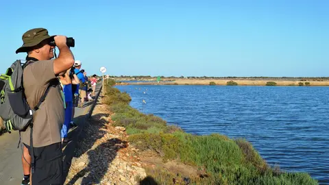 Turistas en el Parque Regional de Salinas (Ayto. de San Pedro del Pinatar)