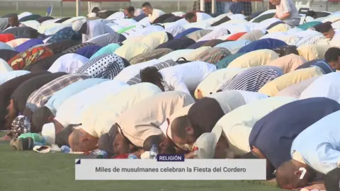 Cordero