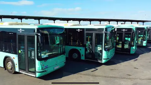 Autobuses de Movibus