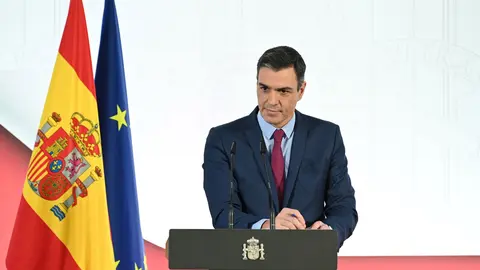 Pedro S&aacute;nchez