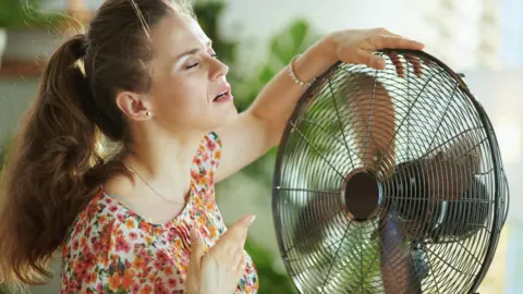 Ola de calor