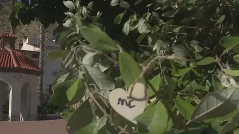 Corazones colgados de un &aacute;rbol para homenajear a los abuelos (foto: La 7)
