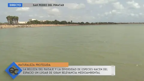 Un paseo por San Pedro del Pinatar (foto: La 7)