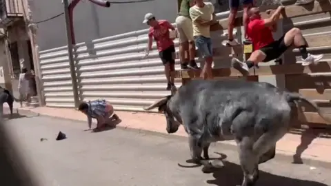 Momento antes de la cornada
