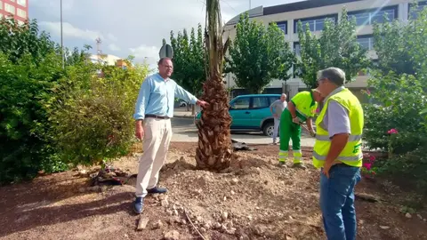 El edil Jos&eacute; Guill&eacute;n, junto a una palmera