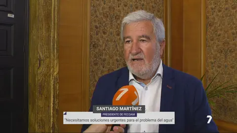 Santiago Mart&iacute;nez Gabald&oacute;n, presidente de Fecoam