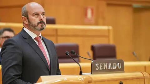 Pedro Roll&aacute;n, en el Senado