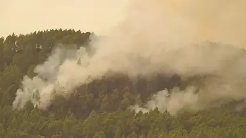Ordenan nuevas evacuaciones al complicarse el incendio de Tenerife en la zona norte