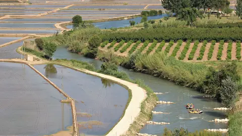 Entre los planes para el verano se encuentra la opci&oacute;n de refrescarse con un rafting entre los arrozales de Calasparra, actividad que incluye reportaje fotogr&aacute;fico y degustaci&oacute;n de arroz.