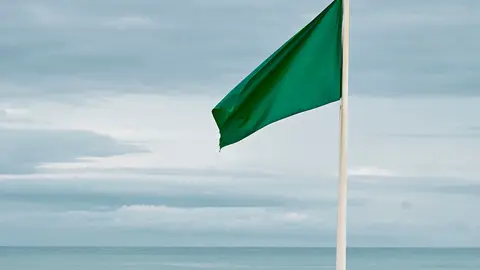 Bandera verde