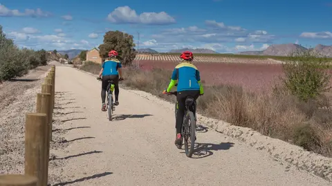 Ciclistas recorren la V&iacute;a Verde de la Floraci&oacute;n