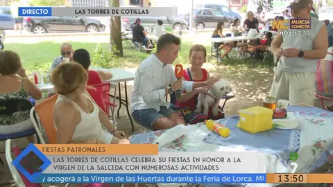 Fiestas de Las Torres de Cotillas