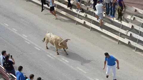 Segundo encierro de las fiestas de Calasparra (foto: Ayuntamiento de Calasparra)