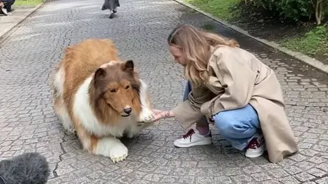 Primera entrevista del hombre que pag&oacute; 13.000 euros para ser perro (foto: YouTube)