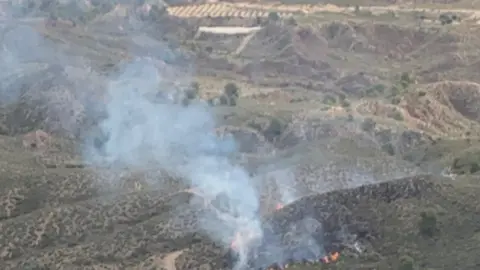 Imagen tomada por el helic&oacute;ptero desplazado al incendio