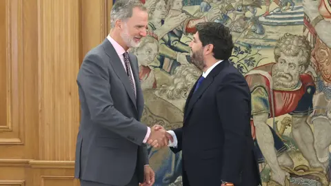 Recepci&oacute;n de Felipe VI a L&oacute;pez Miras