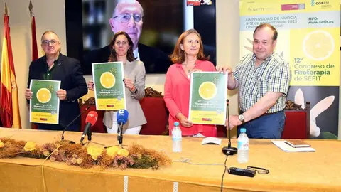 Presentaci&oacute;n del congreso SEFIT