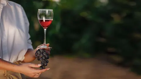 La Regi&oacute;n 'estrena' seis nuevas variedades de vino