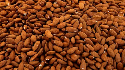 Los productores de frutos secos de la Regi&oacute;n de Murcia, al l&iacute;mite
