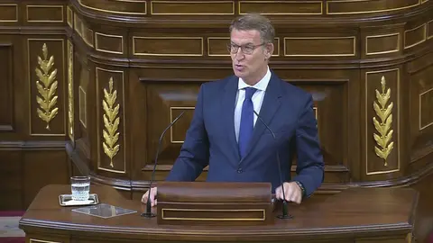 Alberto N&uacute;&ntilde;ez Feij&oacute;o, candidato a la Presidencia del Gobierno (foto: Congreso de los Diputados)