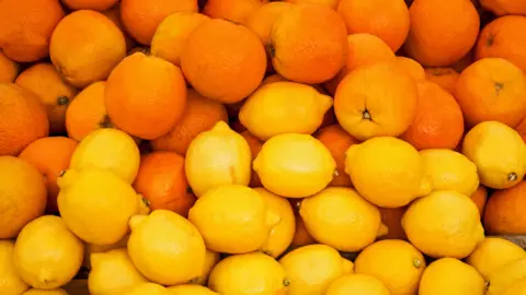 C&iacute;tricos (Canva)