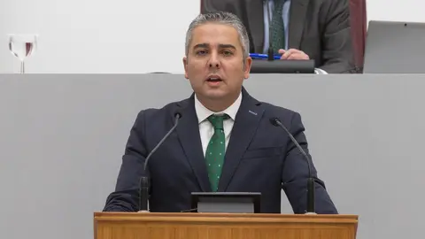 El diputado regional del PP Jes&uacute;s Cano.