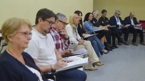 Profesionales implicados en la protecci&oacute;n de la infancia y la adolescencia durante su participaci&oacute;n en el programa 'Avance hacia Barnahus'.