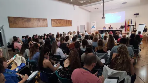 Los grupos de trabajo del programa 'ImpleMental' han comenzado en cinco municipios de la Regi&oacute;n