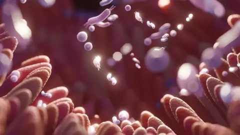 &iquest;Qu&eacute; es el SIBO? Analizamos el sobrecrecimiento bacteriano del intestino con una experta