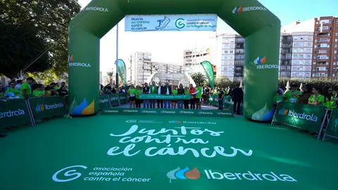 Esta marcha, que ha contado con m&aacute;s de 4.000 participantes, tiene como objetivo en esta edici&oacute;n recaudar fondos para la investigaci&oacute;n en c&aacute;ncer que lleva a cabo Anna Visa, quien estudia el efecto antitumoral de nuestro sistema inmunol&oacute;gico gracias a una ayuda postdoctoral de la Asociaci&oacute;n por valor de 160.000&euro; durante cuatro a&ntilde;os.