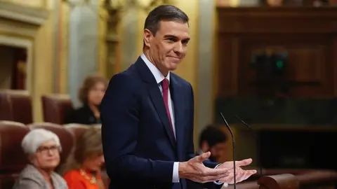 Pedro S&aacute;nchez