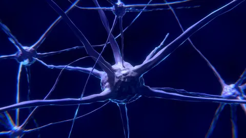 Imagen de una neurona