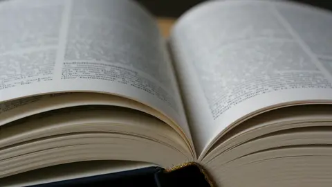 Diccionario