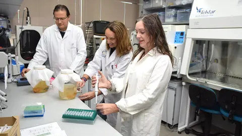 Pablo Fernandez; Cristina Garcia; Paula Periago