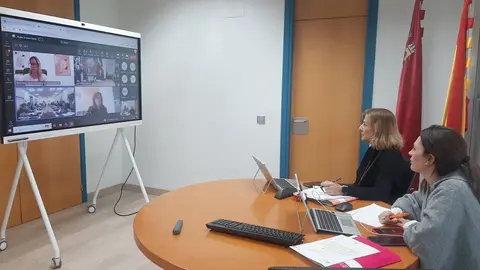 La directora general de Servicios Sociales, Tercer Sector y Gesti&oacute;n de la Diversidad, Mar&iacute;a Jos&eacute; de Maya, y la directora general de Familias, Infancia y Conciliaci&oacute;n, Mar&iacute;a Luisa Lozano, durante la Conferencia Sectorial de Inmigraci&oacute;n.